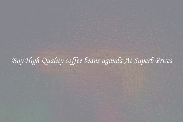 Buy High-Quality coffee beans uganda At Superb Prices