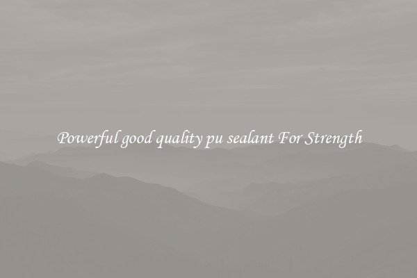 Powerful good quality pu sealant For Strength