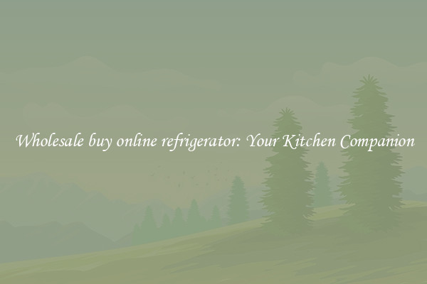 Wholesale buy online refrigerator: Your Kitchen Companion