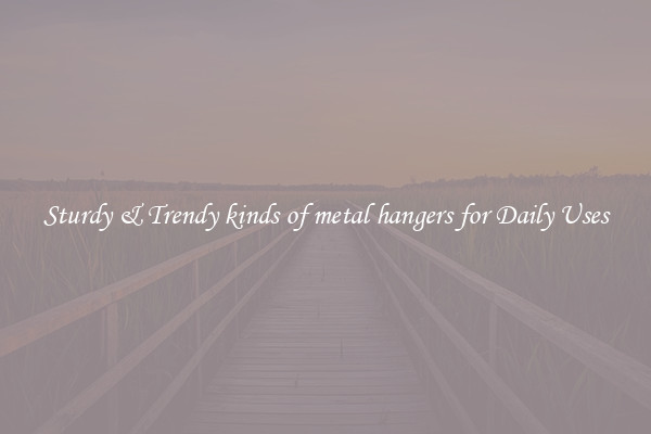 Sturdy & Trendy kinds of metal hangers for Daily Uses