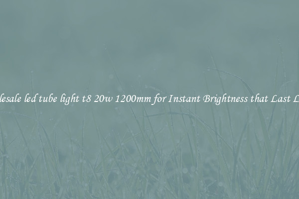 Wholesale led tube light t8 20w 1200mm for Instant Brightness that Last Longer