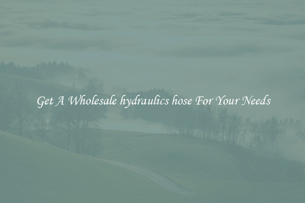 Get A Wholesale hydraulics hose For Your Needs