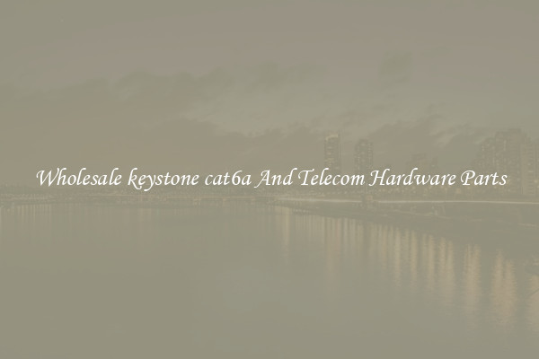Wholesale keystone cat6a And Telecom Hardware Parts
