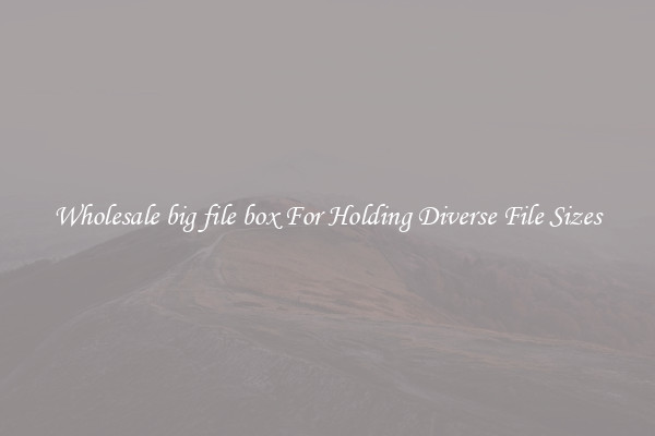 Wholesale big file box For Holding Diverse File Sizes