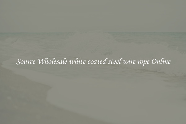 Source Wholesale white coated steel wire rope Online