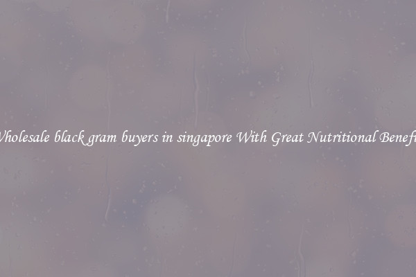 Wholesale black gram buyers in singapore With Great Nutritional Benefits