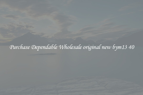 Purchase Dependable Wholesale original new bym13 40