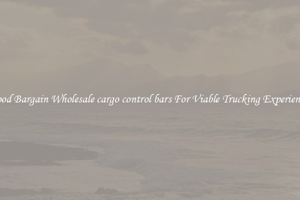 Good Bargain Wholesale cargo control bars For Viable Trucking Experience 