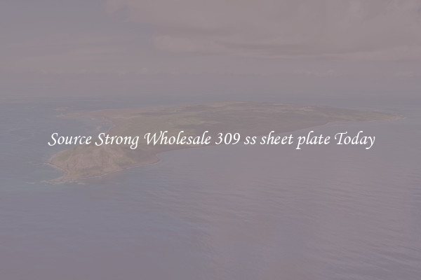 Source Strong Wholesale 309 ss sheet plate Today