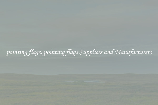 pointing flags, pointing flags Suppliers and Manufacturers