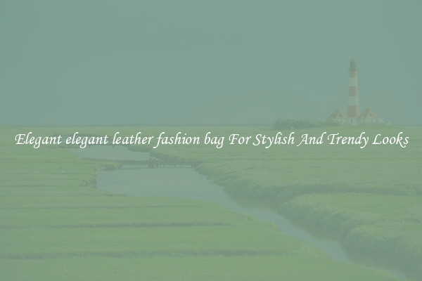 Elegant elegant leather fashion bag For Stylish And Trendy Looks