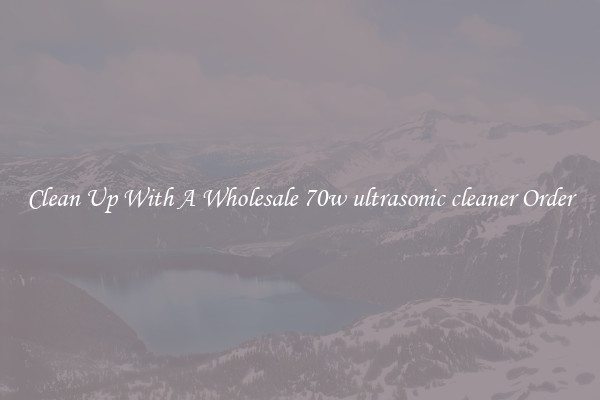 Clean Up With A Wholesale 70w ultrasonic cleaner Order