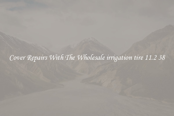  Cover Repairs With The Wholesale irrigation tire 11.2 38 