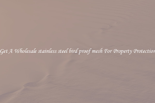 Get A Wholesale stainless steel bird proof mesh For Property Protection