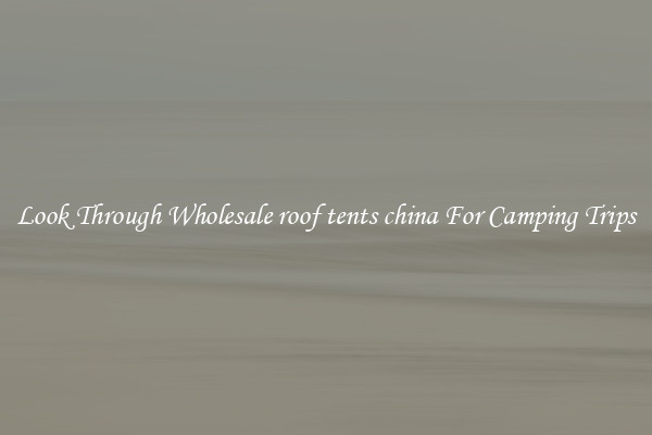 Look Through Wholesale roof tents china For Camping Trips
