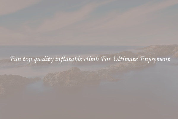 Fun top quality inflatable climb For Ultimate Enjoyment