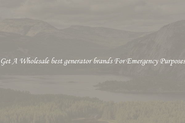 Get A Wholesale best generator brands For Emergency Purposes