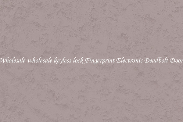 Wholesale wholesale keyless lock Fingerprint Electronic Deadbolt Door 