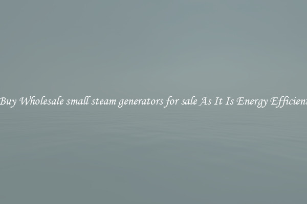 Buy Wholesale small steam generators for sale As It Is Energy Efficient