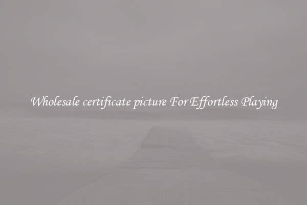 Wholesale certificate picture For Effortless Playing